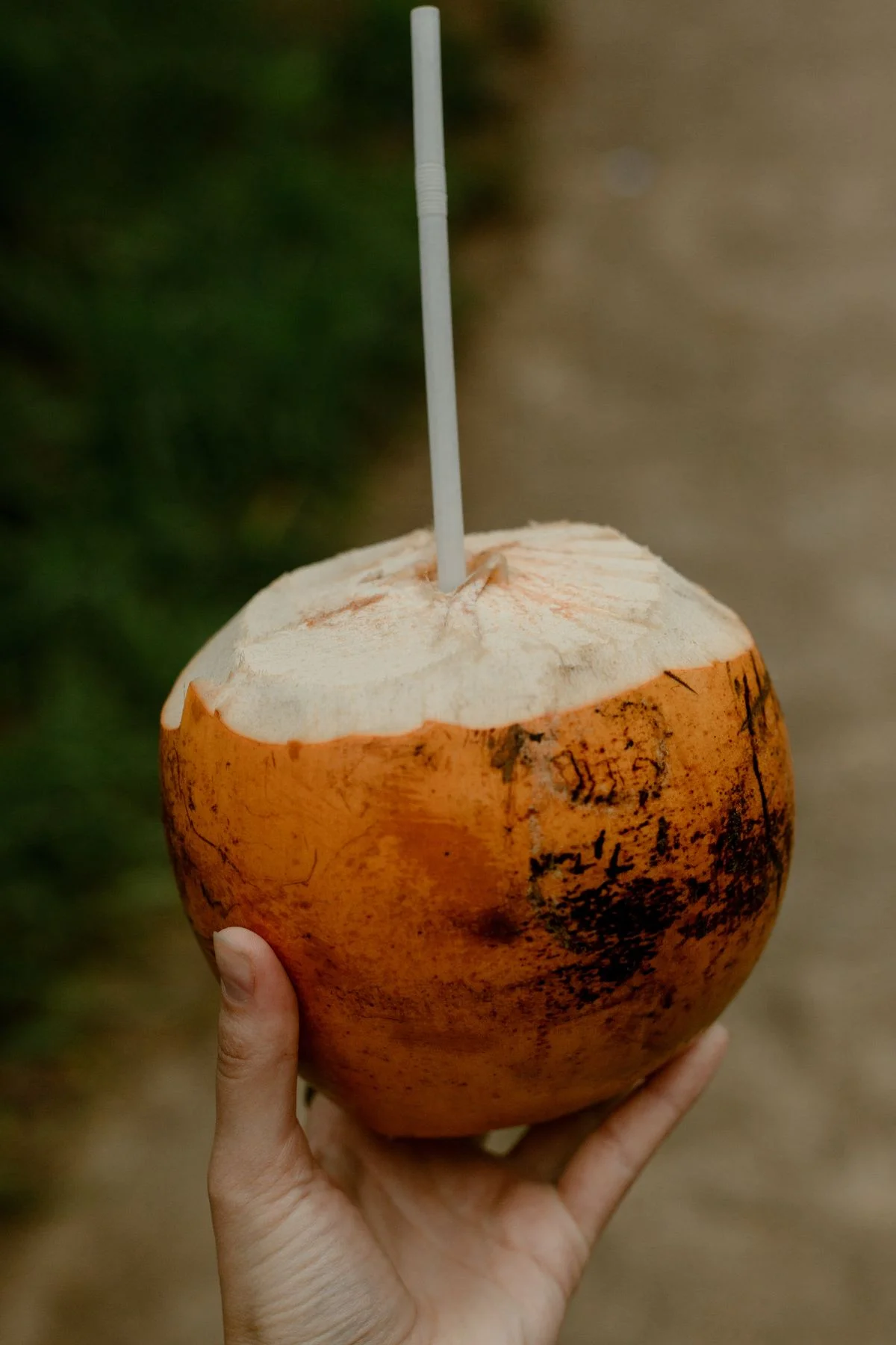 Coconut Water